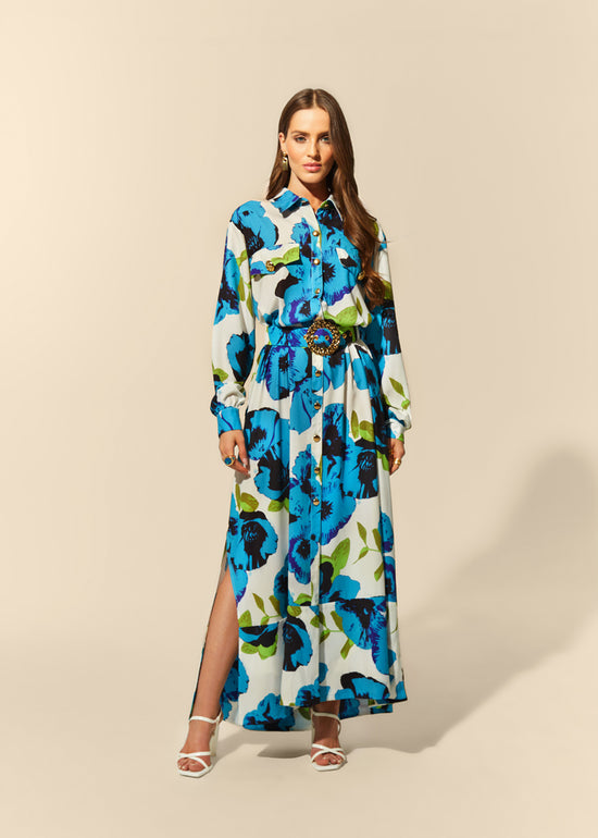 Zerlina Long Sleeve Maxi Dress