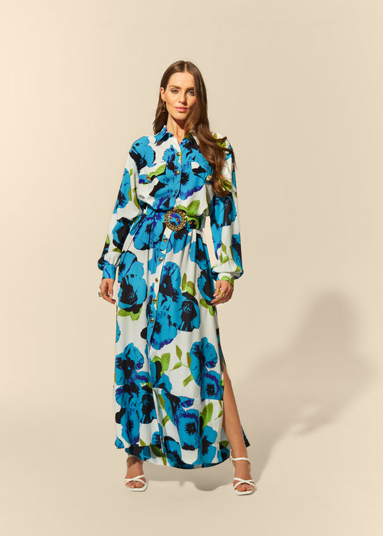 Zerlina Long Sleeve Maxi Dress