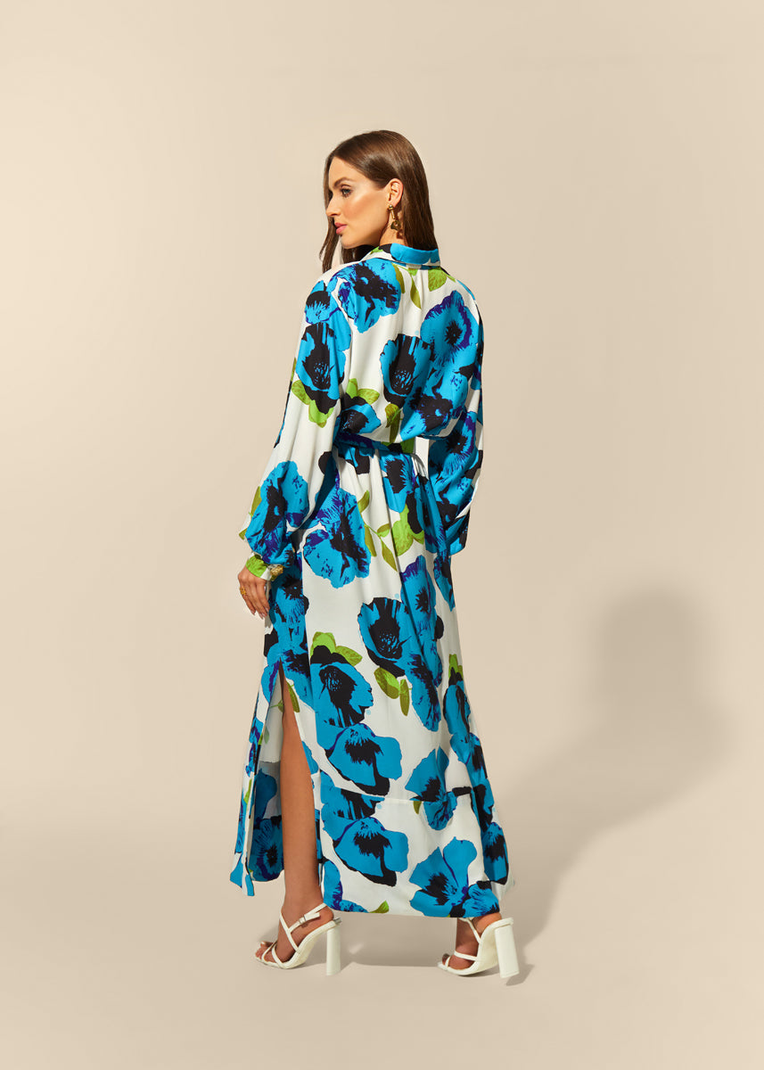 Zerlina Long Sleeve Maxi Dress